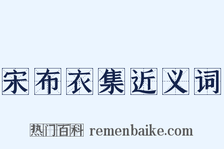 宋布衣集近义词是什么意思的图片